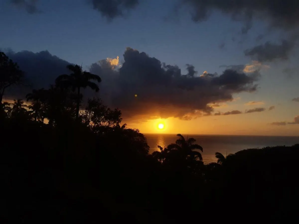 Domaine Choco Vanille Deshaies Guadeloupe